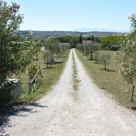 Il Gheriglio * Torano Nuovo