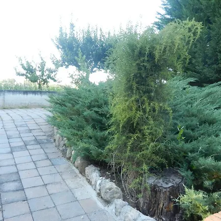 Il Gheriglio Torano Nuovo