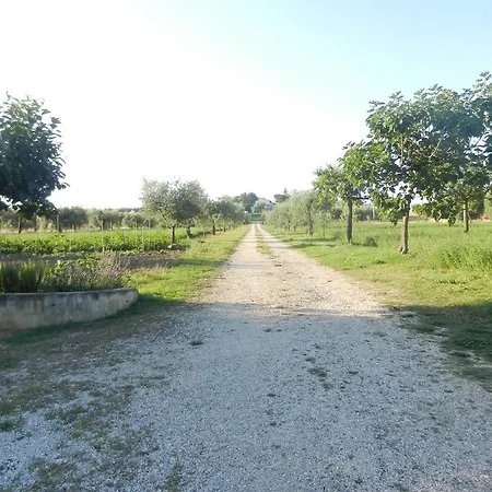 Lägenhet Il Gheriglio