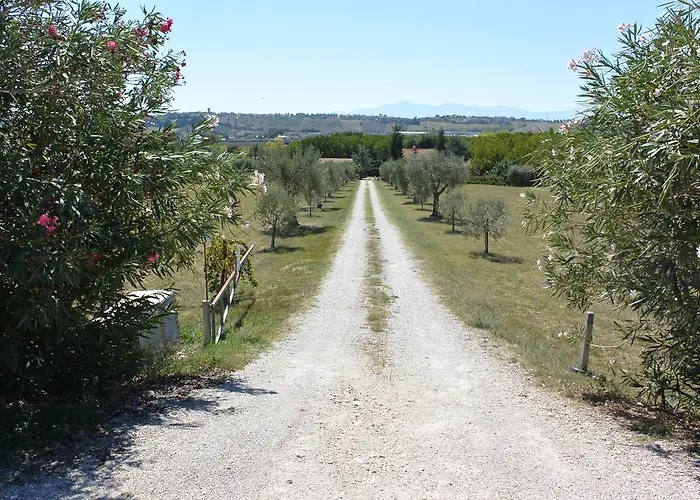 Il Gheriglio * Torano Nuovo